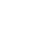 twitter icon